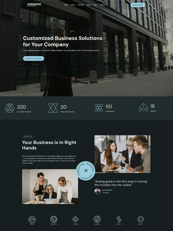 Consultus Business Advisors theme
